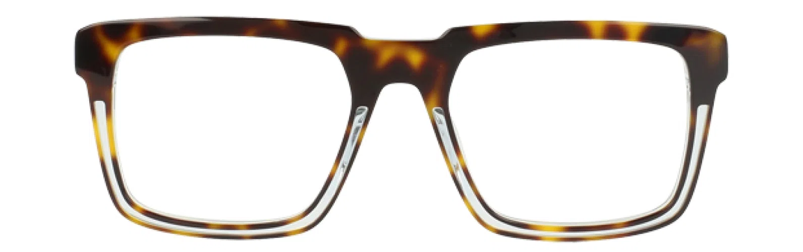 Randy Jackson RJ3081 Eyeglasses - Tortoise - view 3